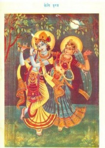 केलि कुञ्ज की लीला हिंदी पुस्तक मुफ्त पीडीऍफ़ डाउनलोड | Keli Kunj Ki Leela Hindi Book Free PDF Download