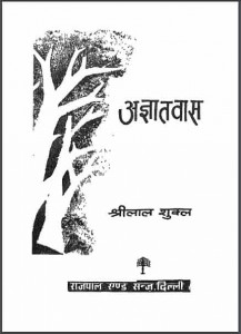 अज्ञातवास | Agyatwas