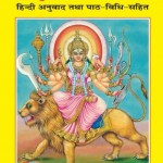 श्री दुर्गाशप्तसती चरित्र | Shri Durgashaptsati Charitra