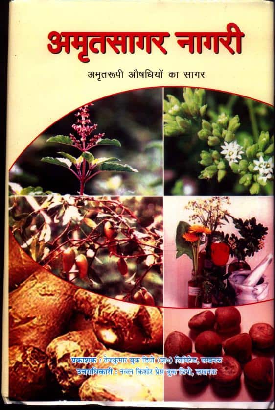 अमृतसागर नागरी हिन्दी पीडीएफ़ पुस्तक | Amrit Sagar Nagari Hindi PDF Book |